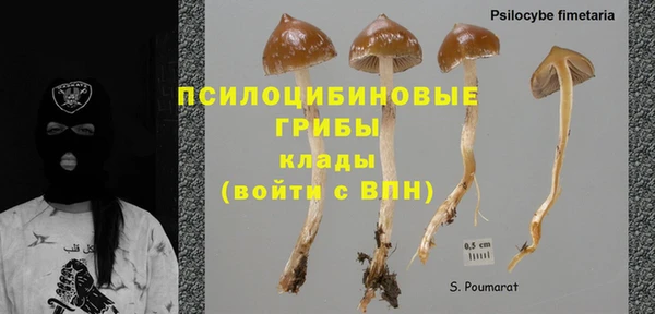 сатива Абинск