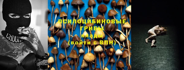 крисы Алзамай
