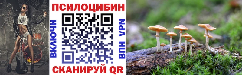 хочу   Бежецк  ссылка на мегу онион  Псилоцибиновые грибы Cubensis 